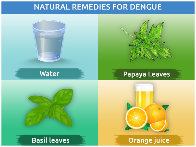 How To Reduce Dengue Fever Home Remedies